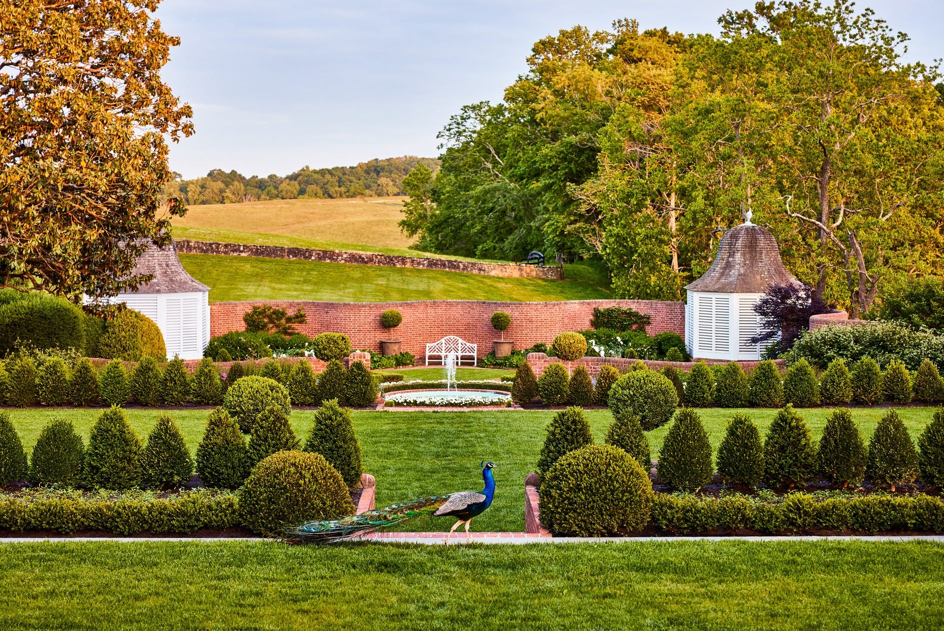 Beautiful completed garden landscaping