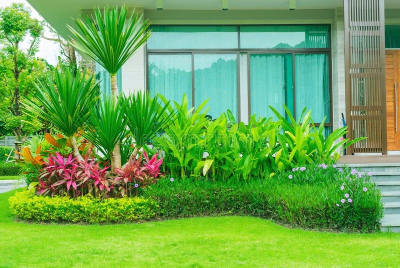 Fresh green turf lawn installation