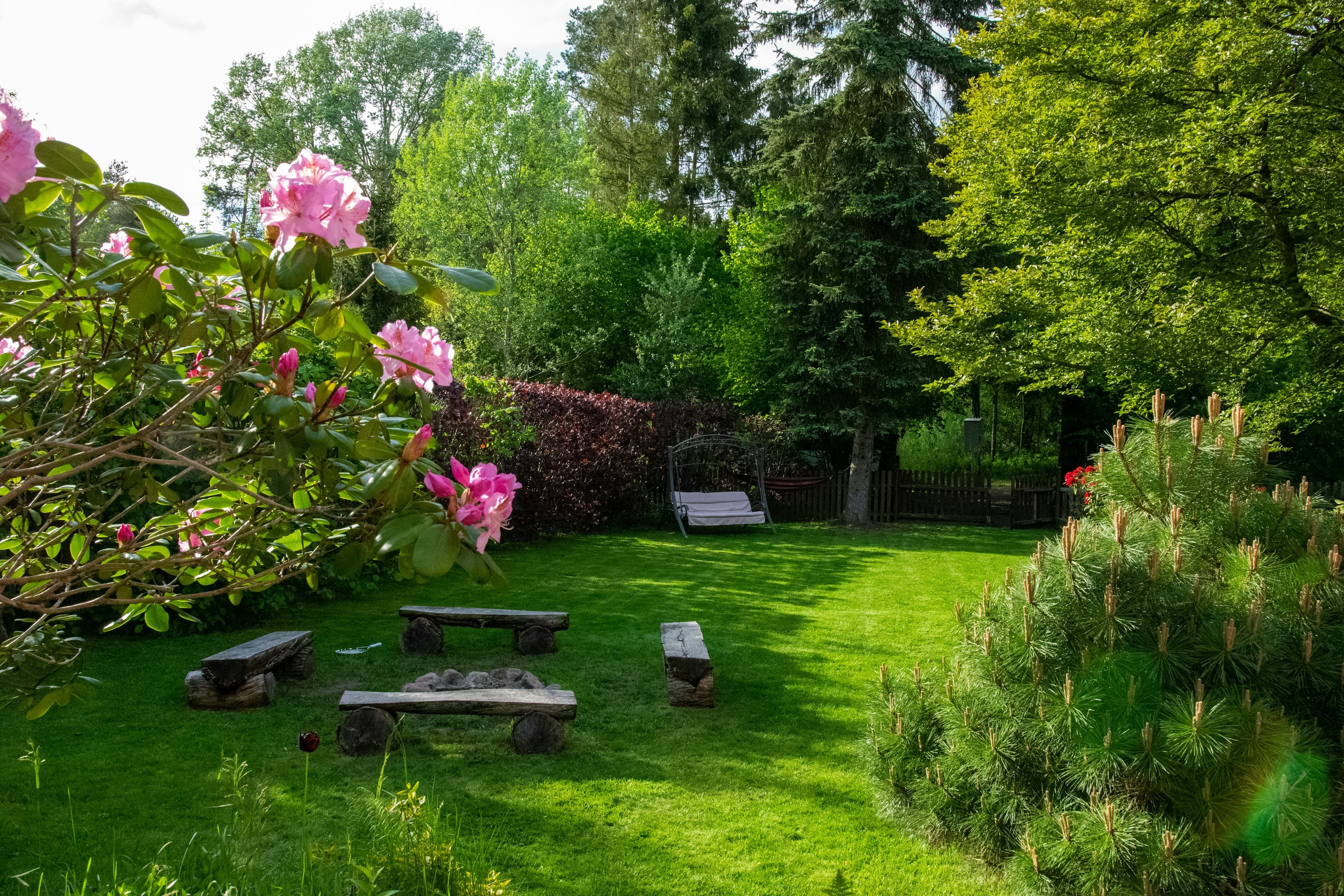 Backyard garden transformation with planting beds