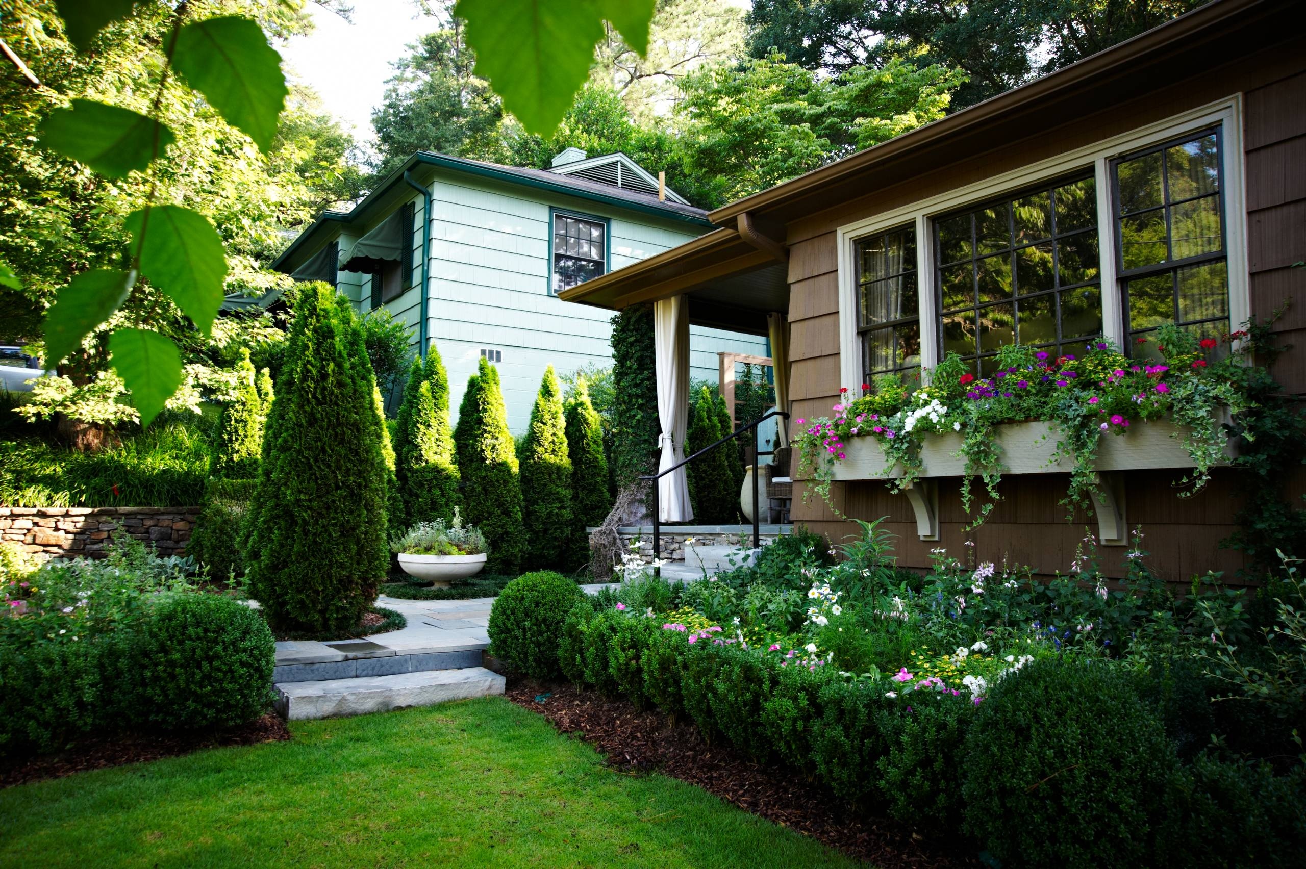 Professional hedge trimming and borders