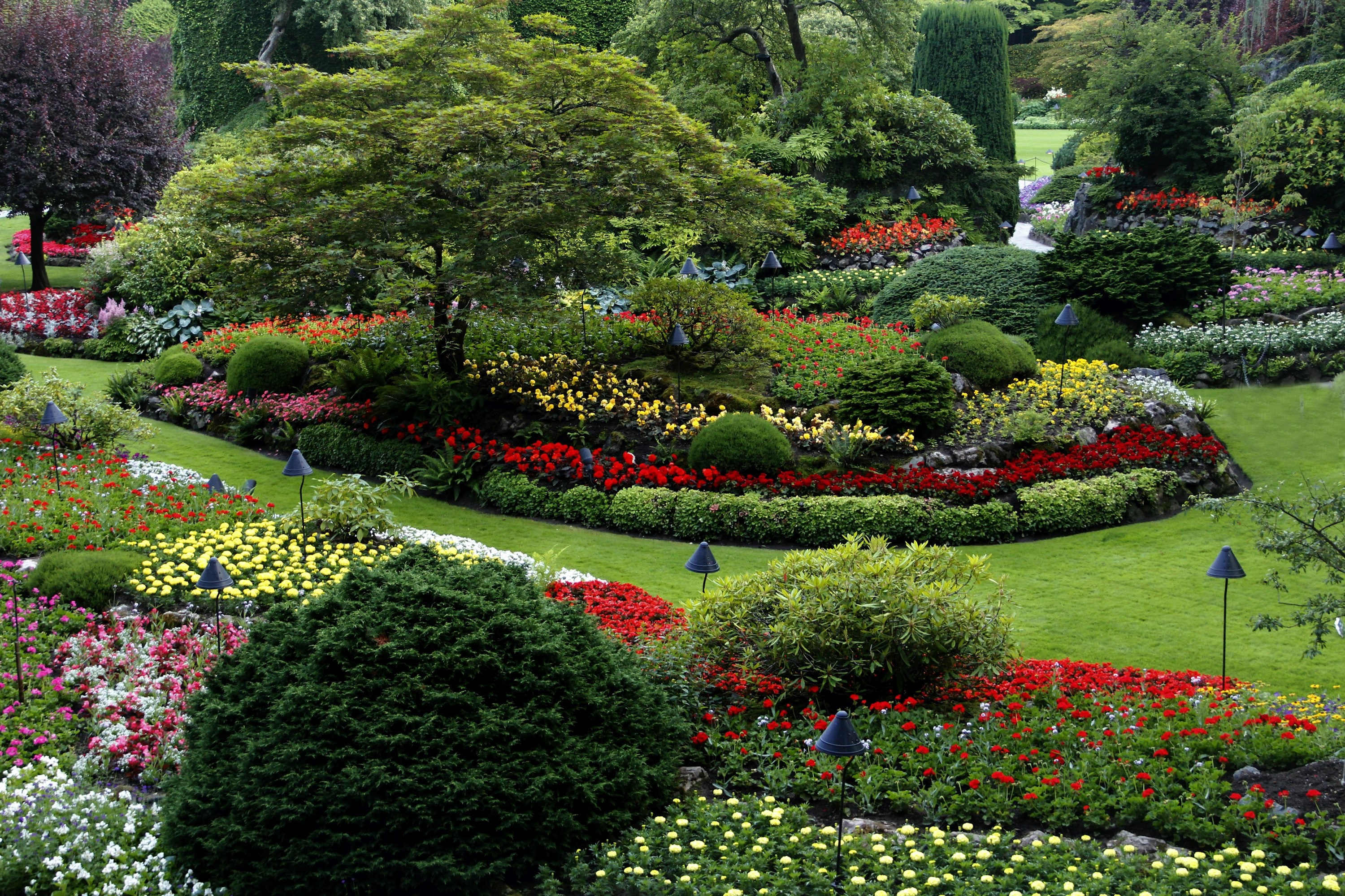 Completed residential garden design