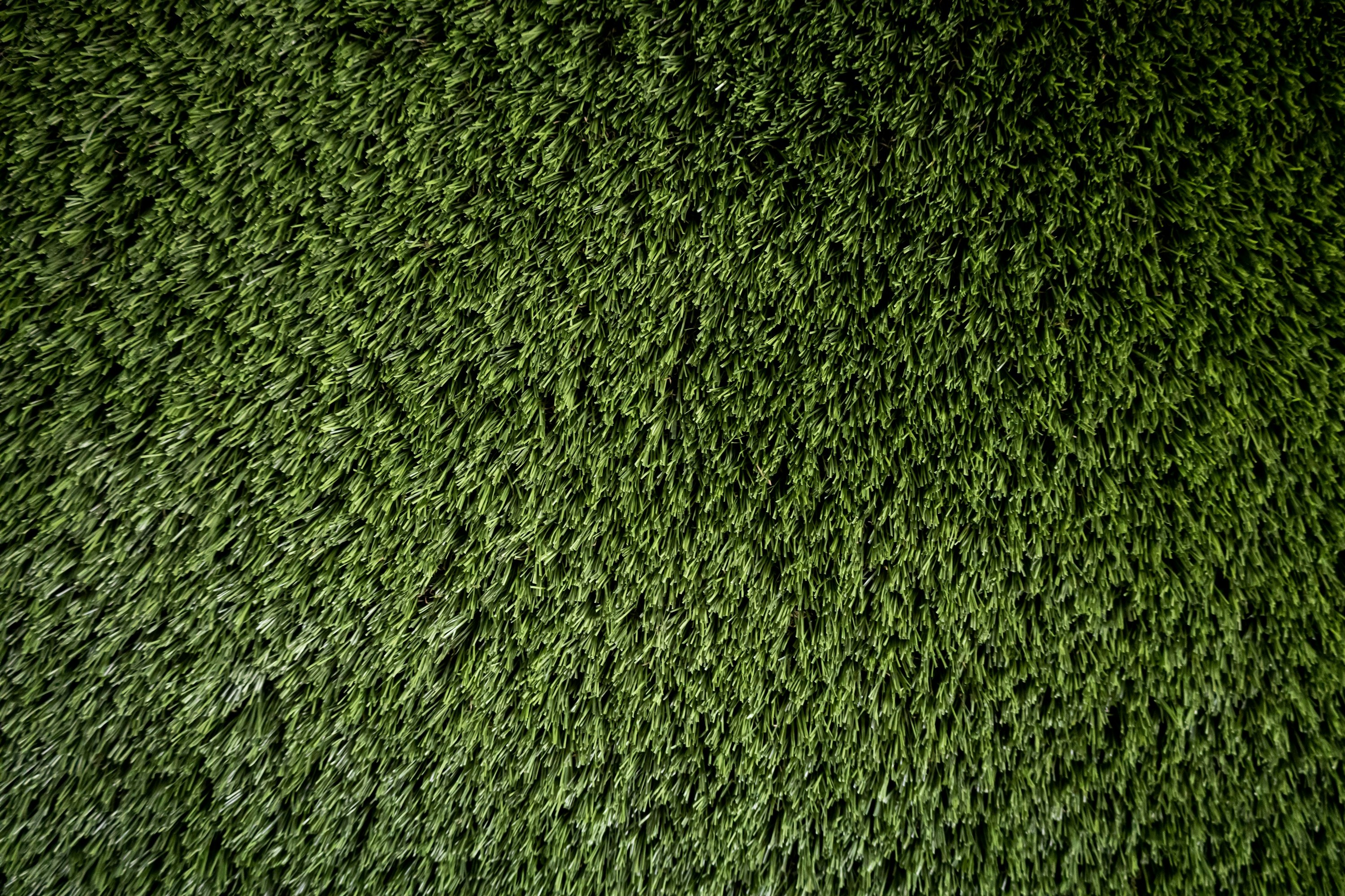 Close-up of newly laid turf rolls