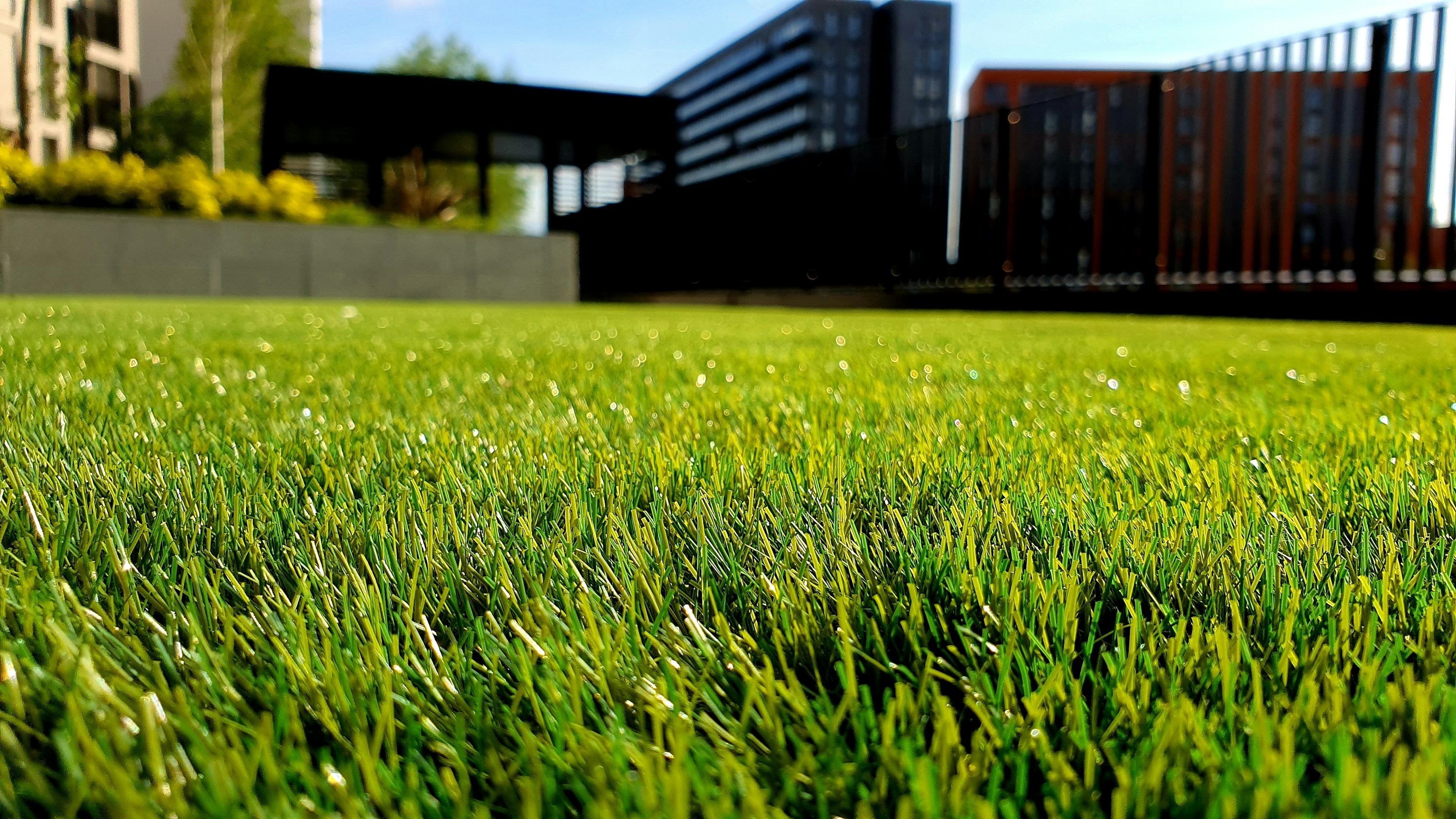 Residential garden with fresh turf